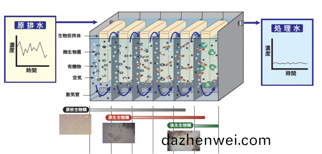 高(gao)鹽廢(fei)水生(sheng)化(hua)技(ji)術